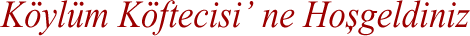 Kï¿½ylï¿½m Kï¿½ftecisi' ne Hosgeldiniz